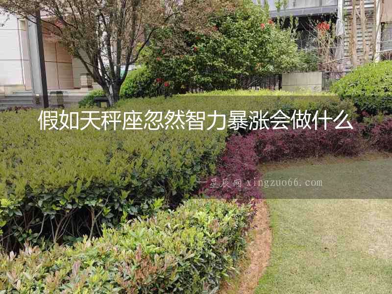假如天秤座忽然智力暴漲會(huì)做什么