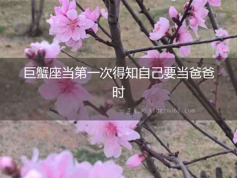 巨蟹座當(dāng)?shù)谝淮蔚弥约阂?dāng)爸爸時(shí)