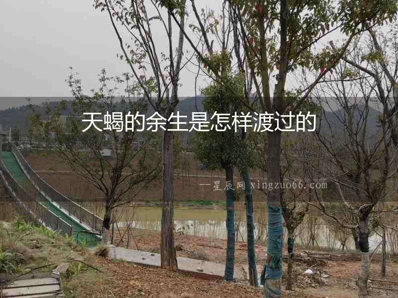 天蝎的余生是怎樣渡過的