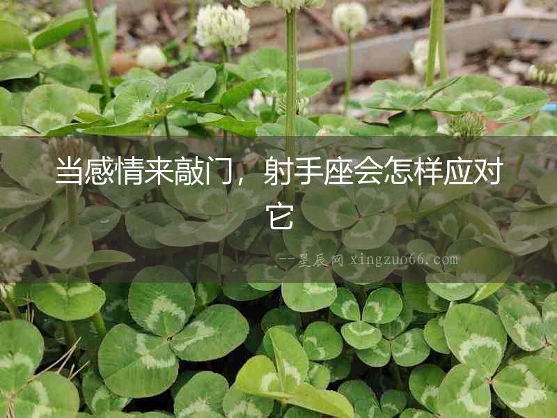 當(dāng)感情來(lái)敲門，射手座會(huì)怎樣應(yīng)對(duì)它