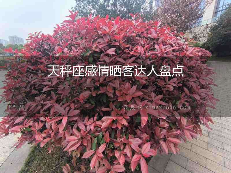 天秤座感情曬客達人盤點