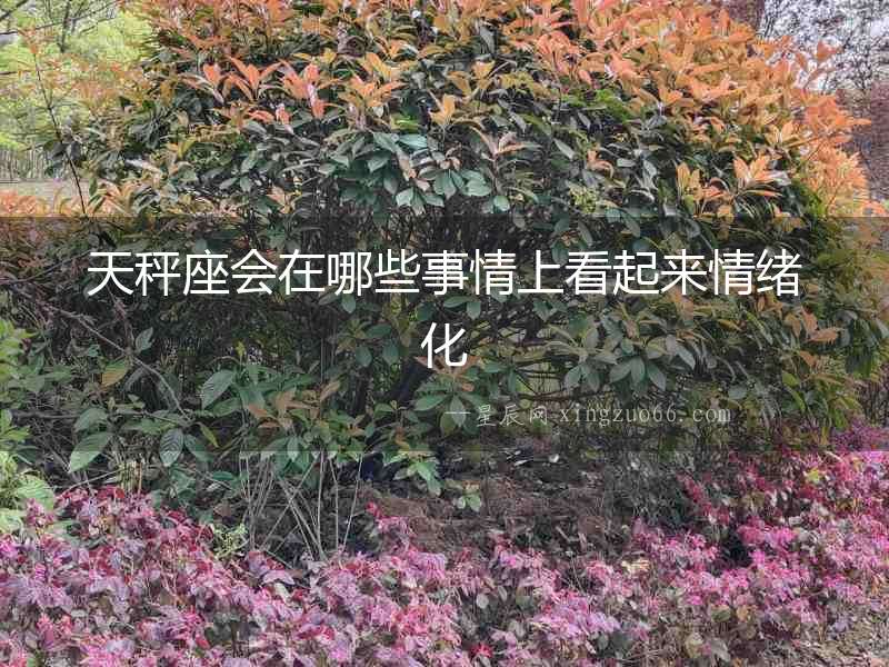 天秤座會在哪些事情上看起來情緒化