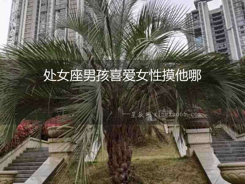 處女座男孩喜愛女性摸他哪