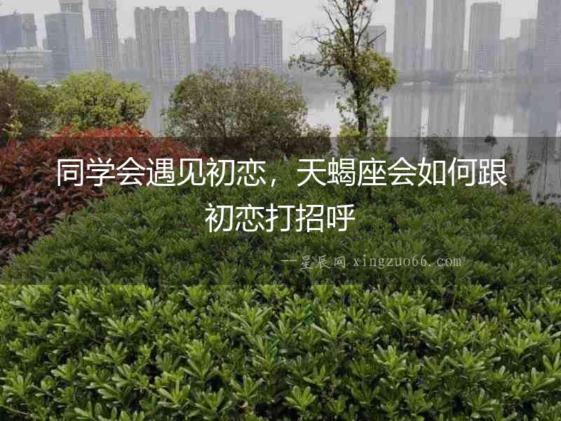 同學會遇見初戀，天蝎座會如何跟初戀打招呼