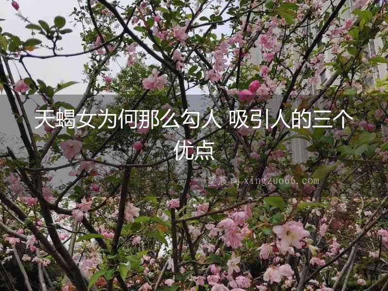 天蝎女為何那么勾人 吸引人的三個優(yōu)點