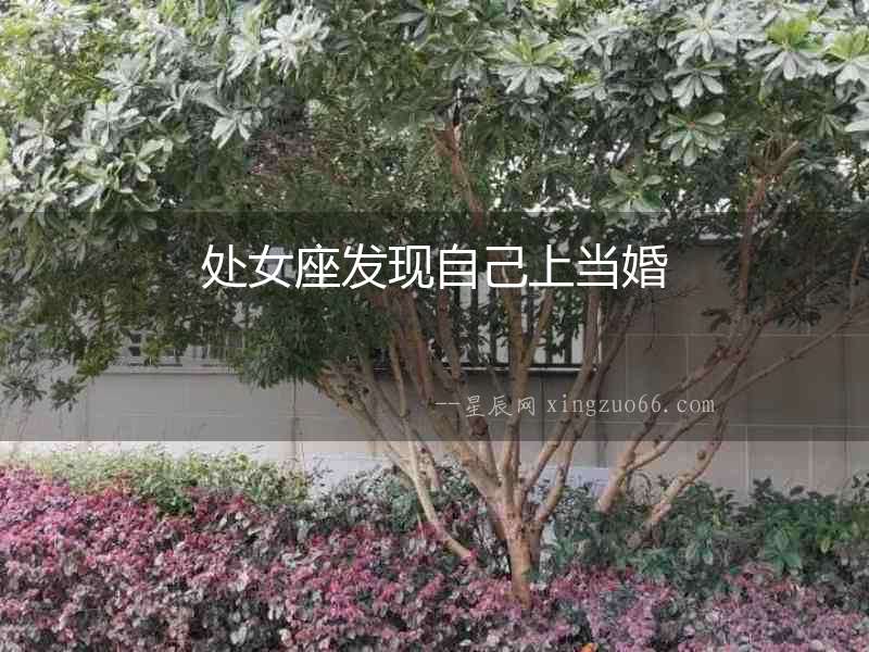 處女座發(fā)現(xiàn)自己上當(dāng)婚