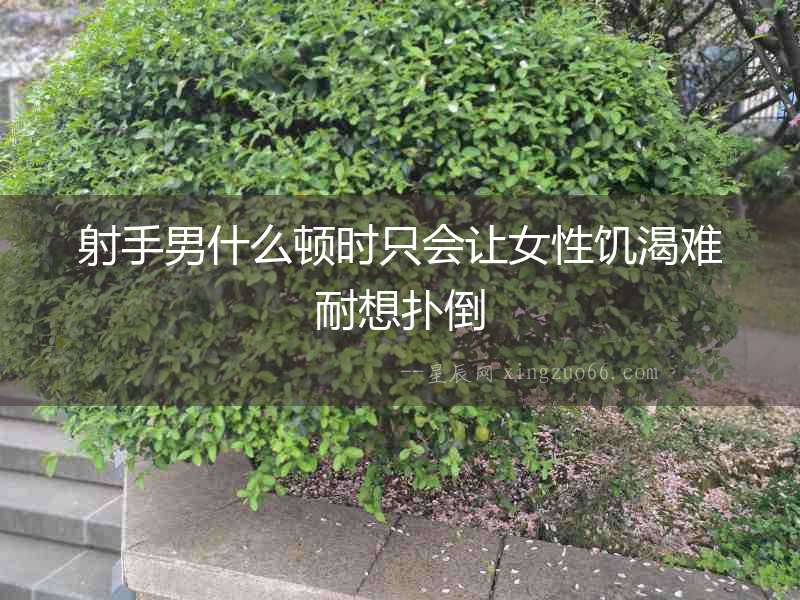射手男什么頓時(shí)只會讓女性饑渴難耐想撲倒