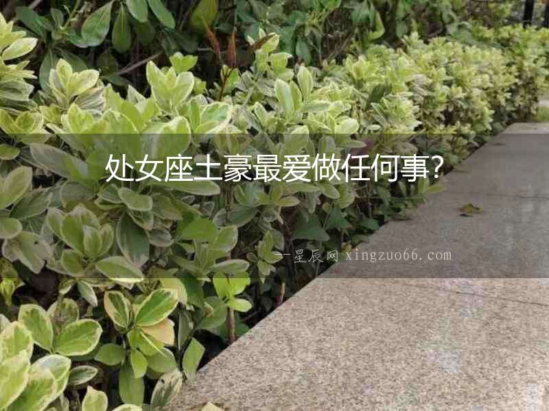 處女座土豪最?lèi)?ài)做任何事？