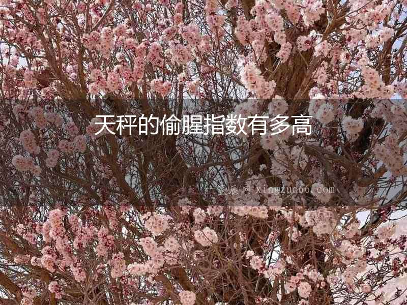 天秤的偷腥指數有多高