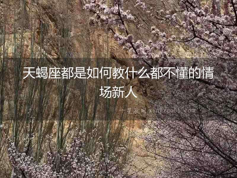 天蝎座都是如何教什么都不懂的情場(chǎng)新人