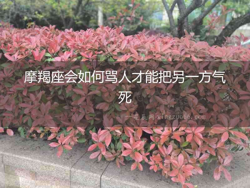 摩羯座會(huì)如何罵人才能把另一方氣死