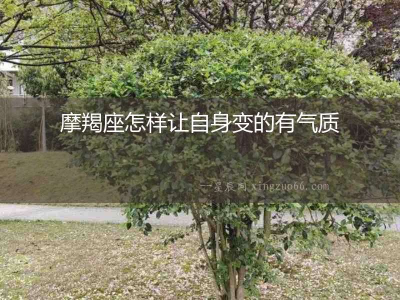 摩羯座怎樣讓自身變的有氣質(zhì)