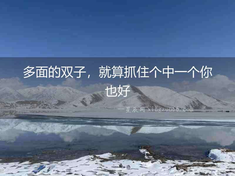 多面的雙子，就算抓住個中一個你也好