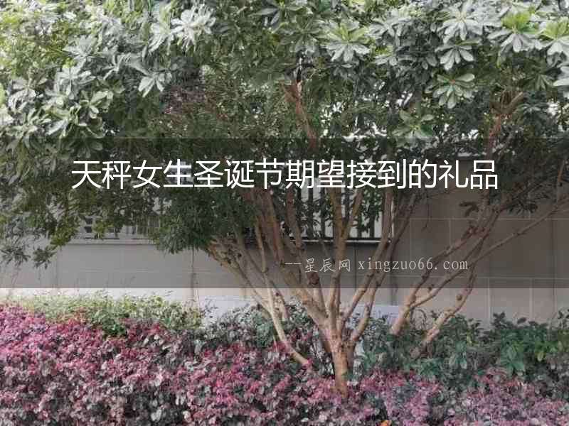 天秤女生圣誕節(jié)期望接到的禮品