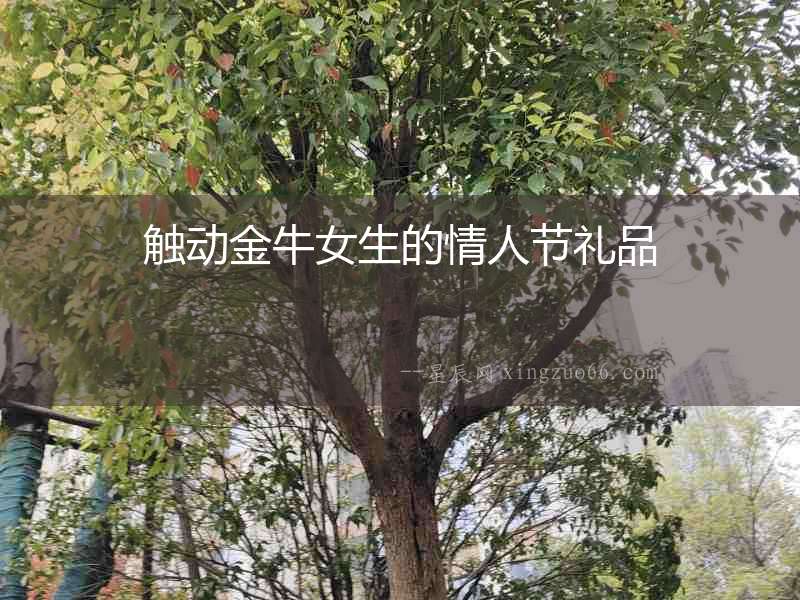 觸動金牛女生的情人節(jié)禮品