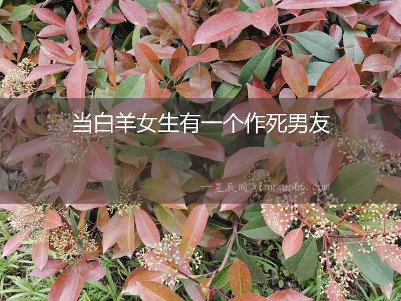 當白羊女生有一個作死男友