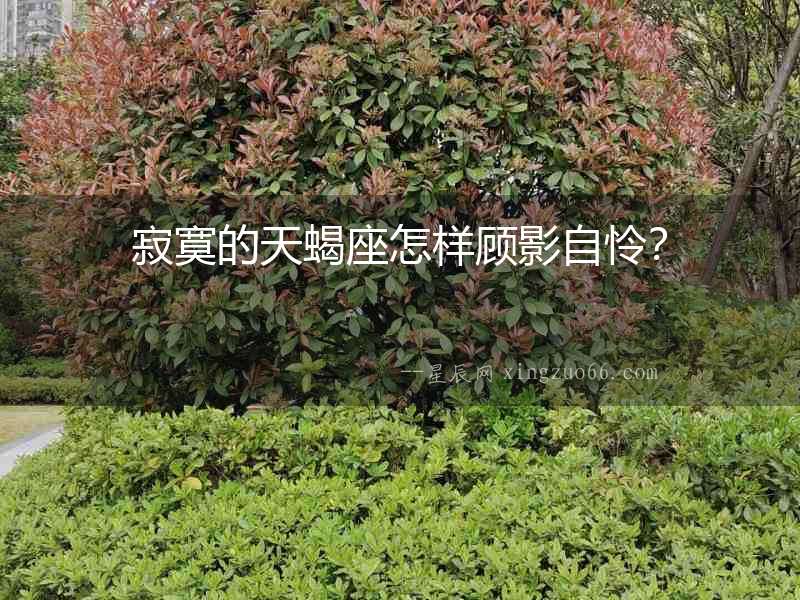 寂寞的天蝎座怎樣顧影自憐？