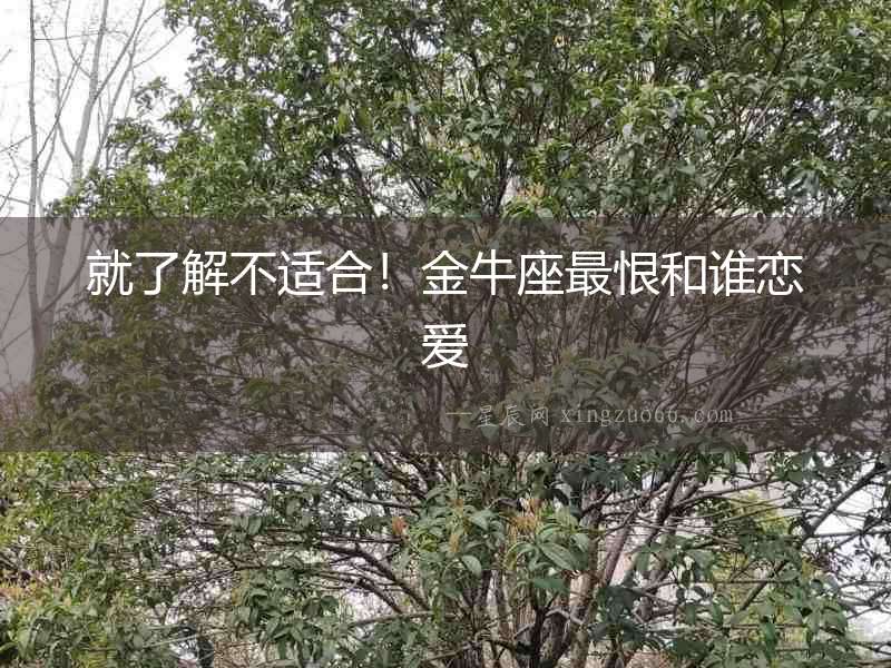 就了解不適合！金牛座最恨和誰戀愛
