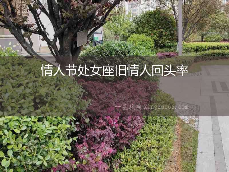 情人節處女座舊情人回頭率
