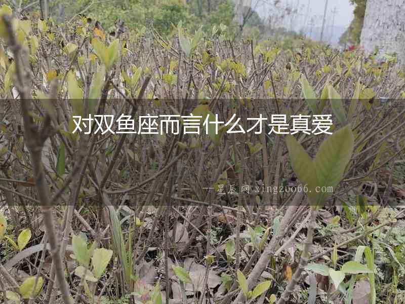 對雙魚座而言什么才是真愛