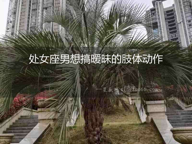 處女座男想搞曖昧的肢體動(dòng)作