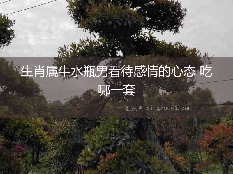 生肖屬牛水瓶男看待感情的心態 吃哪一套