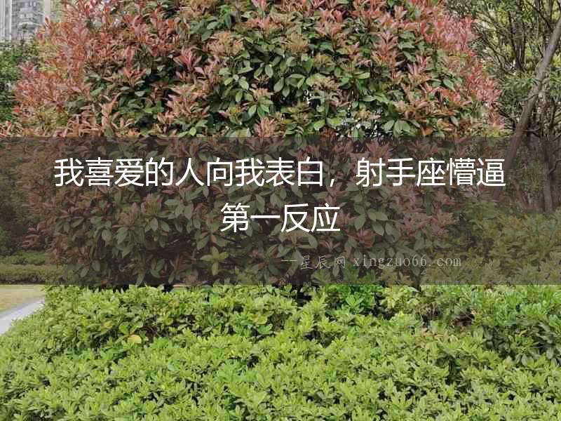 我喜愛的人向我表白，射手座懵逼第一反應