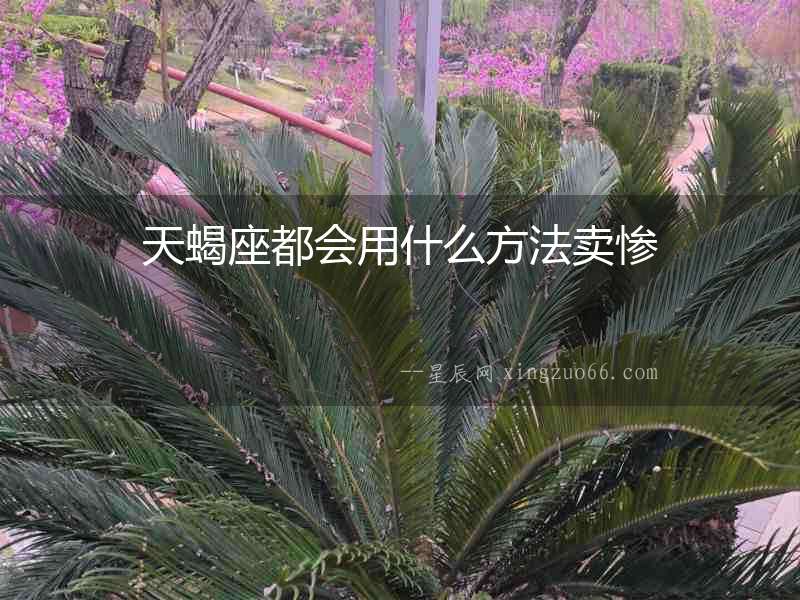 天蝎座都會用什么方法賣慘