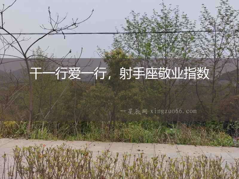 干一行愛一行，射手座敬業指數