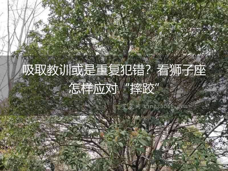 吸取教訓(xùn)或是重復(fù)犯錯(cuò)？看獅子座怎樣應(yīng)對(duì)“摔跤”