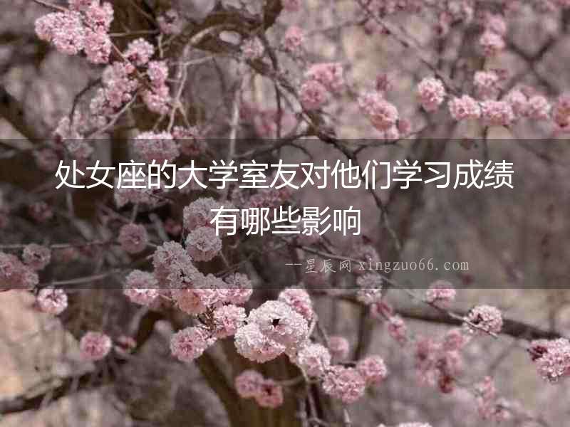 處女座的大學室友對他們學習成績有哪些影響