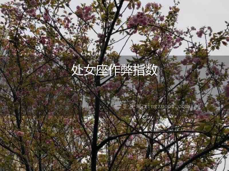 處女座作弊指數(shù)