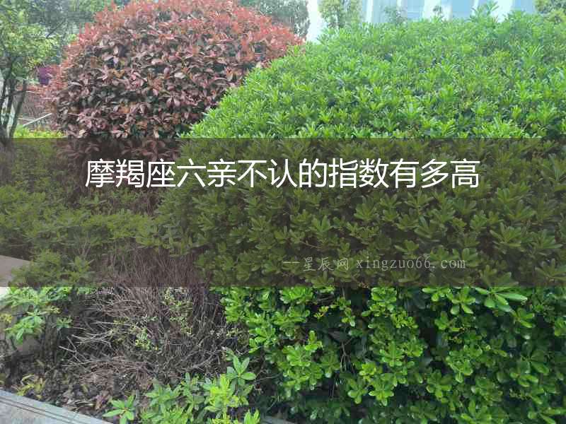 摩羯座六親不認(rèn)的指數(shù)有多高