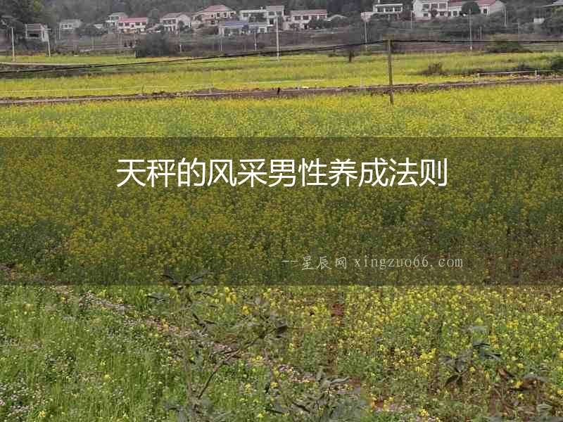 天秤的風(fēng)采男性養(yǎng)成法則