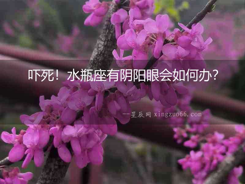 嚇?biāo)溃∷孔嘘庩?yáng)眼會(huì)如何辦？