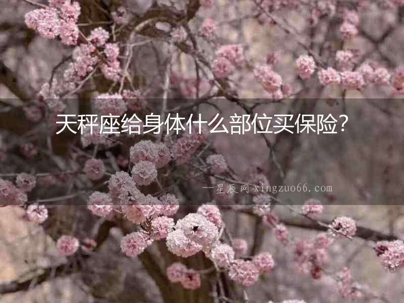 天秤座給身體什么部位買保險？