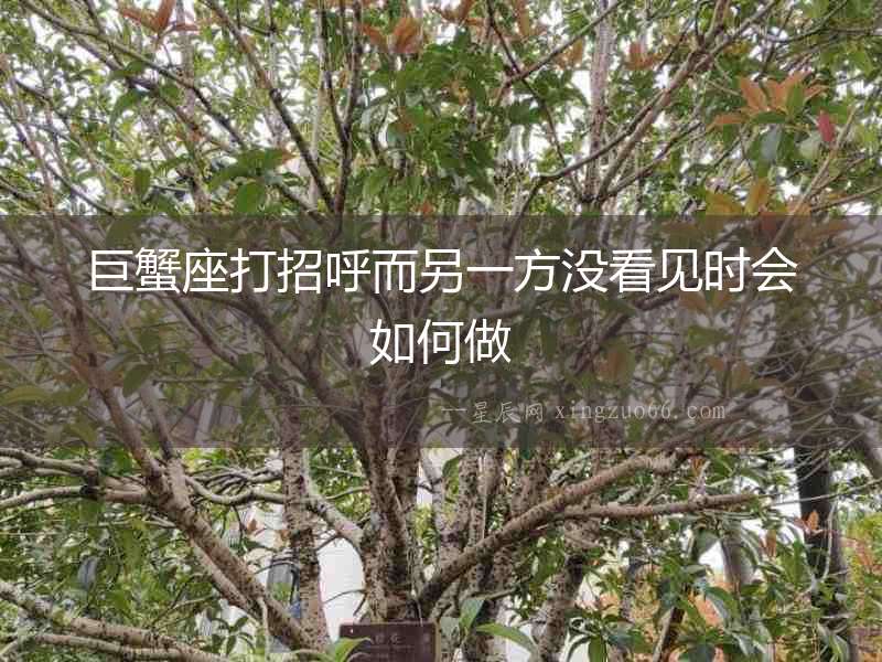 巨蟹座打招呼而另一方沒看見時會如何做