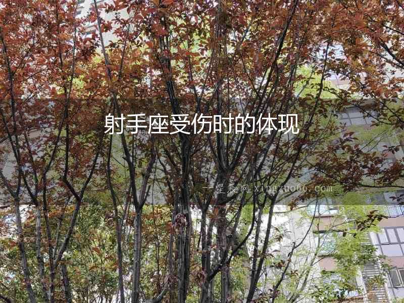 射手座受傷時的體現(xiàn)