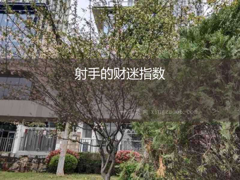 射手的財(cái)迷指數(shù)