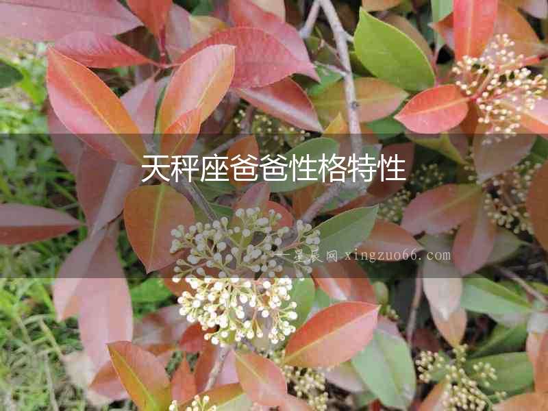 天秤座爸爸性格特性
