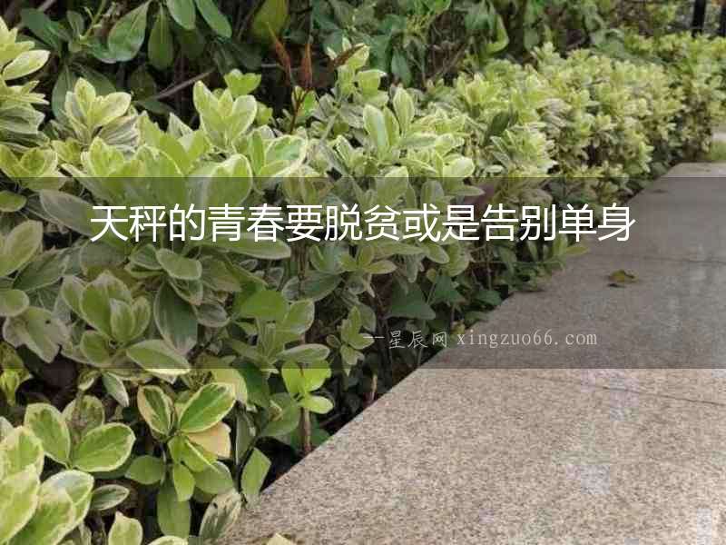 天秤的青春要脫貧或是告別單身
