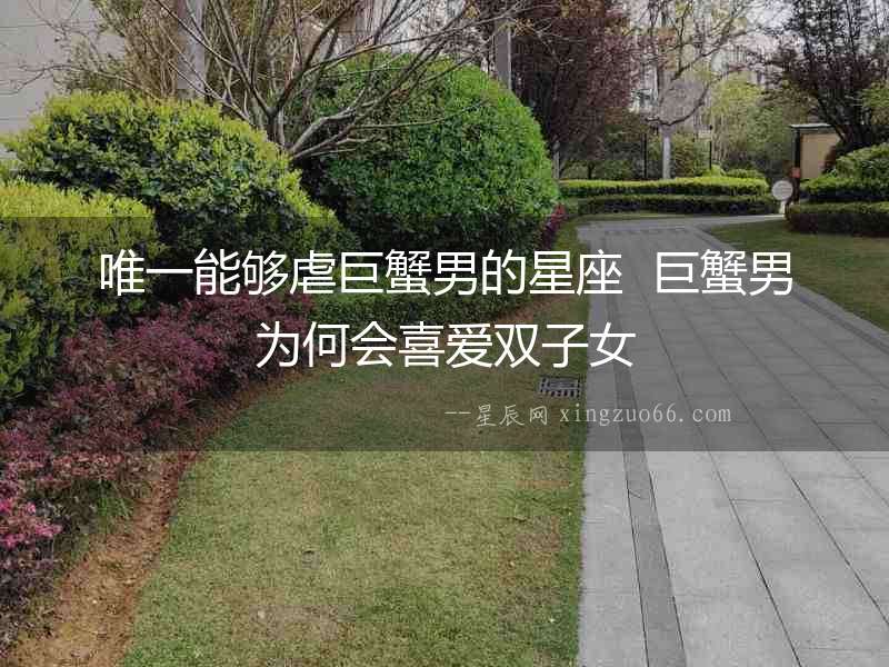 唯一能夠虐巨蟹男的星座  巨蟹男為何會喜愛雙子女