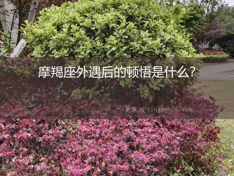 摩羯座外遇后的頓悟是什么？