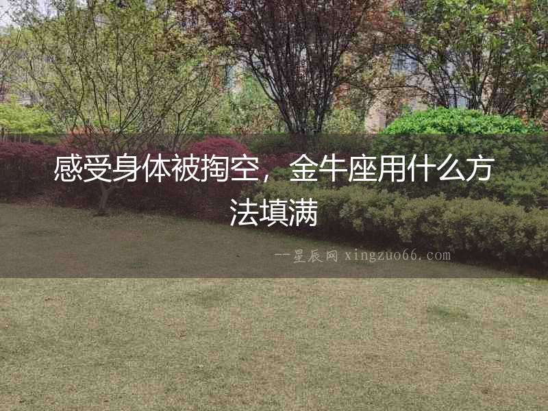 感受身體被掏空，金牛座用什么方法填滿