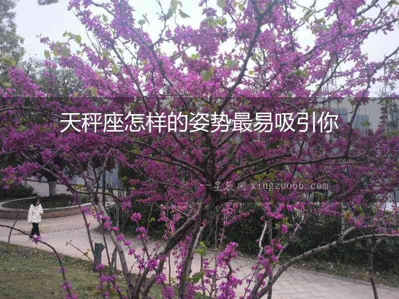 天秤座怎樣的姿勢最易吸引你