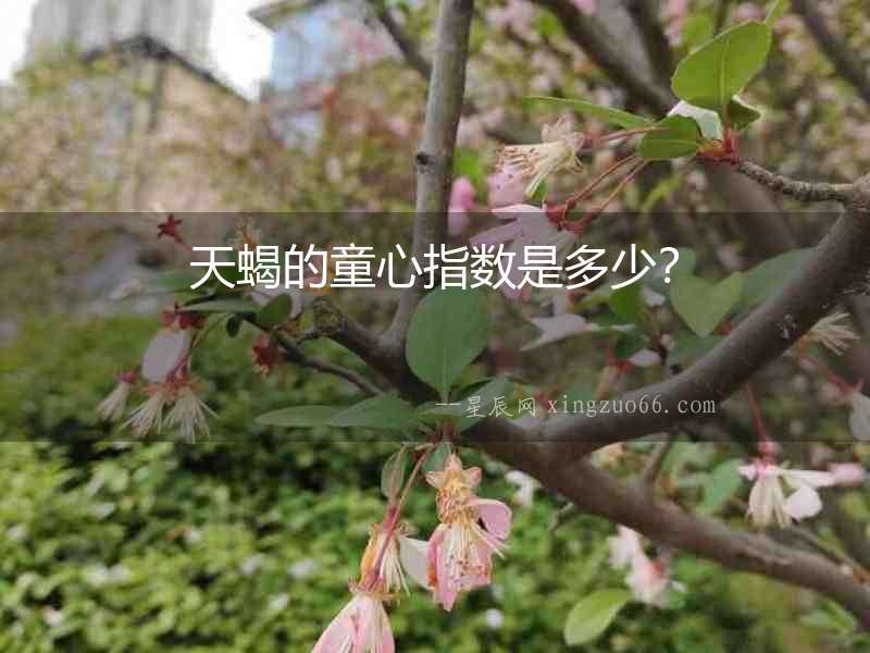 天蝎的童心指數是多少？