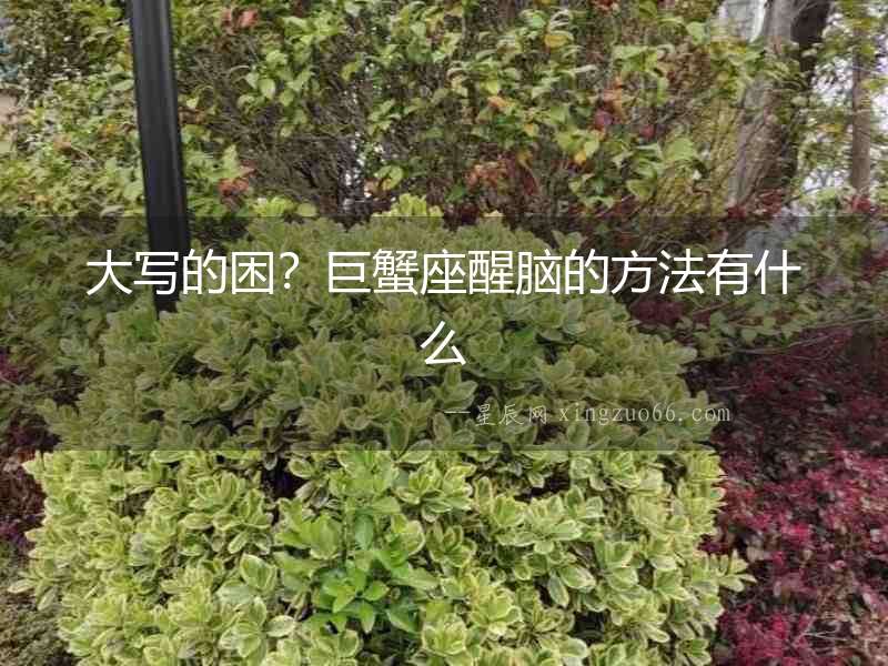 大寫的困？巨蟹座醒腦的方法有什么