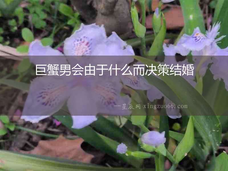 巨蟹男會由于什么而決策結(jié)婚