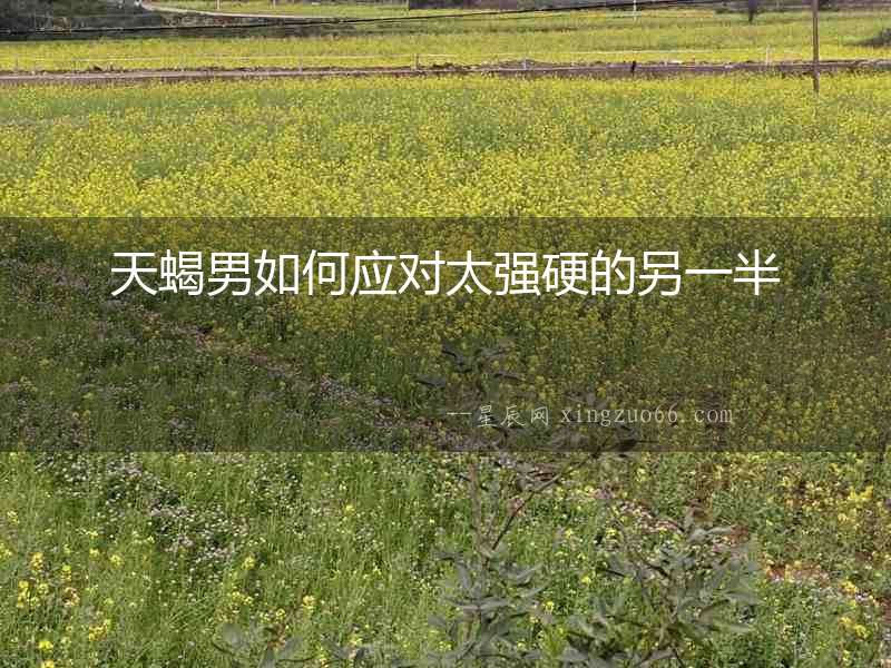 天蝎男如何應(yīng)對(duì)太強(qiáng)硬的另一半