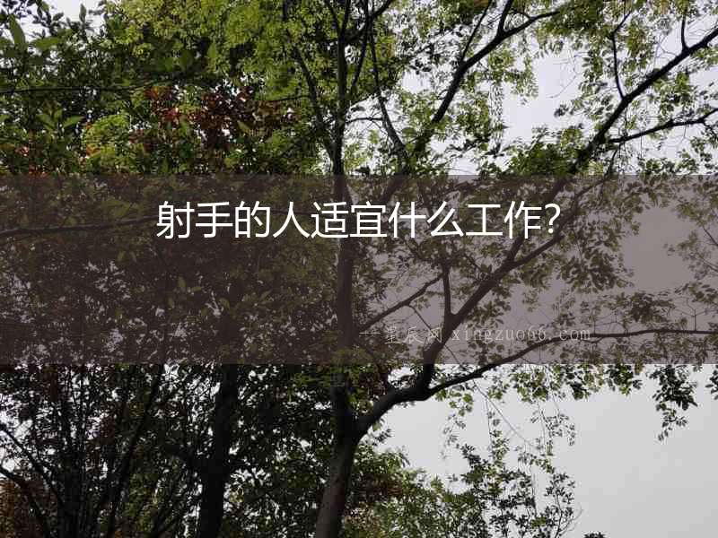 射手的人適宜什么工作？